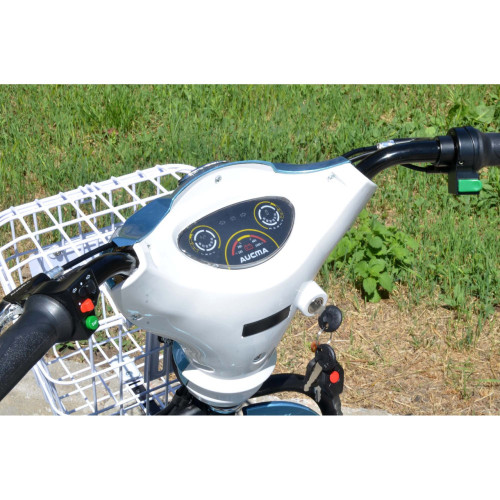 Электроскутер Skybike Sport (350W-48/12 V/Ah)