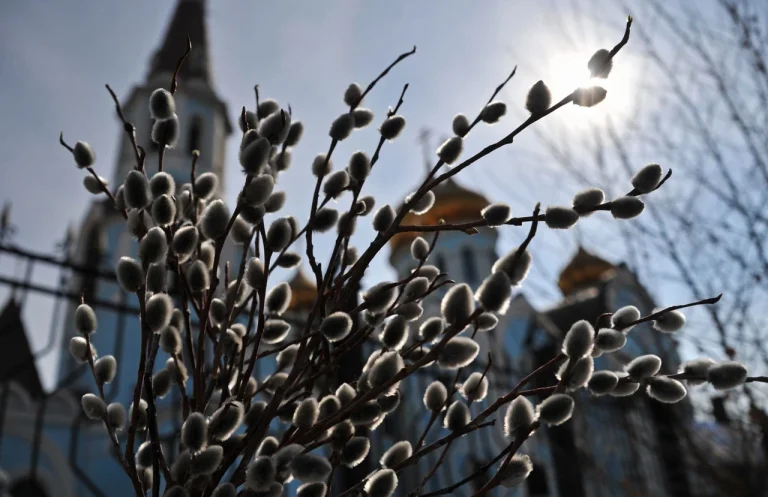 Чи можна стригтися у Вербну неділю: традиції, забобони та церковна мудрість