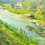 На Рівненщині 2-річний хлопчик потонув у водоймі біля дому