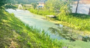 Штучна водойма з зеленою водою та фонтаном біля приватного будинку на Рівненщині, де потонув 2-річний хлопчик