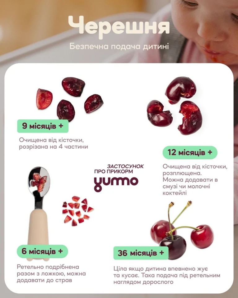 Черешня користь: глибокий розбір складу, механізмів і практичного застосування